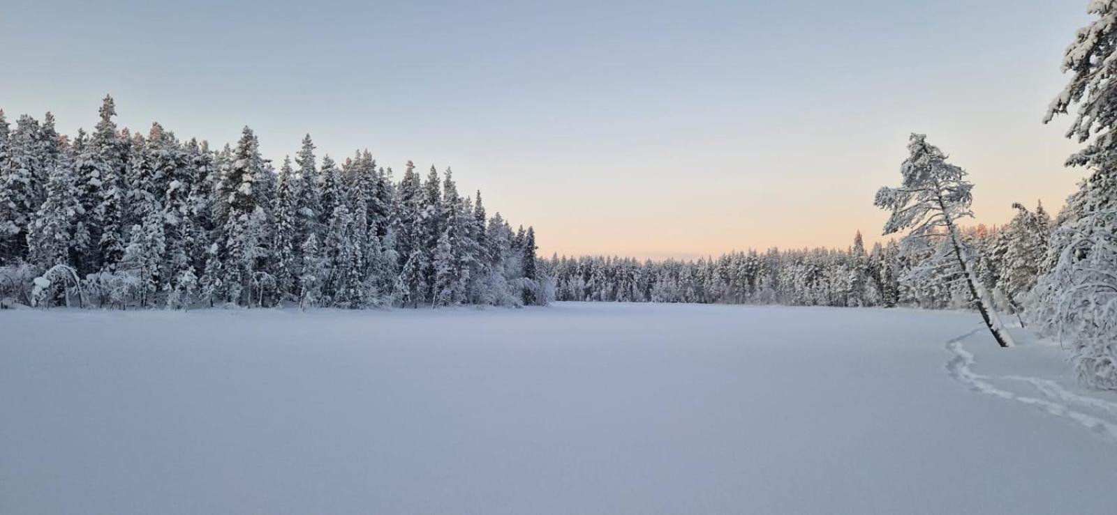 Lapland Old School Hotell Muonio Exteriör bild